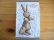 画像2: カイ・ボイスン Kay Bojesen/ラビット Rabbit/木製人形 Wood Toy (2)